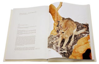 Marsupials of Australia: the kangaroos, wallabies and rat-kangaroos.