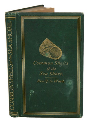 Stock ID 41300 The common shells of the sea-shore. J. G. Wood