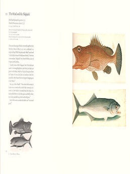 Mark Catesby's Natural history of America: the watercolours from the Royal Library, Windsor Castle.