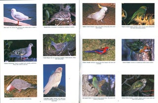 Grampians birds: an illustrated checklist.
