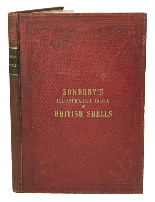 Stock ID 41396 Illustrated index of British shells. Containing all the recent species with names and other information. G. B. Sowerby.