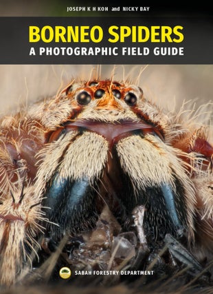 Stock ID 41414 Borneo spiders: a photographic field guide. Joseph K. H. Koh, Nicky Bay