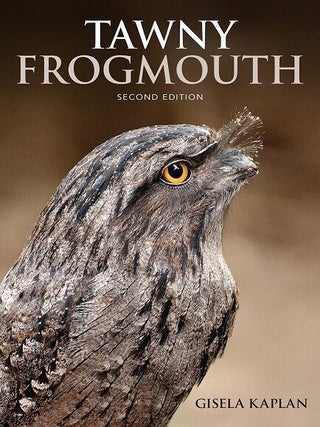 Stock ID 41452 Tawny frogmouth. Gisela Kaplan