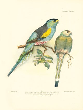 Parrakeets: a handbook to the imported species.