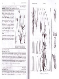 Grasses of South Australia: an illustrated guide to the native and naturalised species.