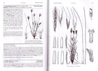 Grasses of South Australia: an illustrated guide to the native and naturalised species.