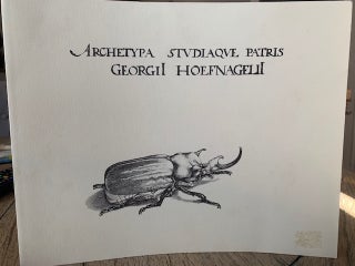 Stock ID 41616 Archetypa studiaque patris Georgii Hoefnagelii, 1592. Thea Vignau- Wilberg