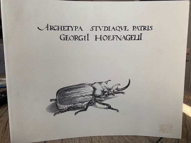 Stock ID 41616 Archetypa studiaque patris Georgii Hoefnagelii, 1592. Thea Vignau- Wilberg.