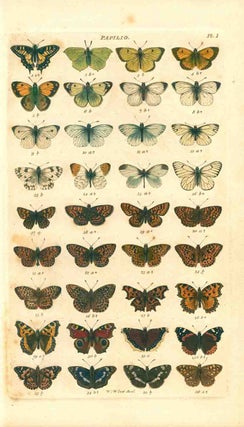 Index entomologicus; or, a complete illustrated catalogue, cosisiting of 1944 figures, of the Lepidopterous insects of Great Britain.