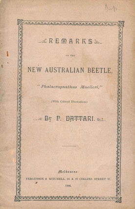 Stock ID 41751 Remarks on the new Australian beetle "Phalacrognathus muelleri" P. Dattari