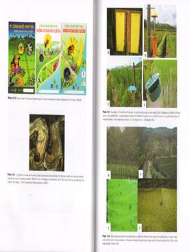 Biodiversity and insect pests: key issues for sustainable management.