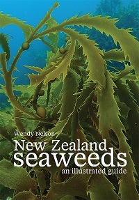 Stock ID 41893 New Zealand seaweeds: an illustrated guide. Wendy Nelson