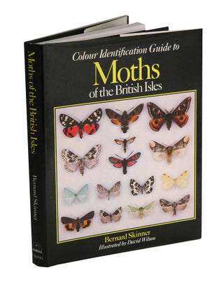 Stock ID 41926 Colour identification guide to moths of the British Isles (Macrolepidoptera)....