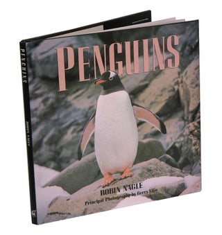 Stock ID 42016 Penguins. Robin Nagle