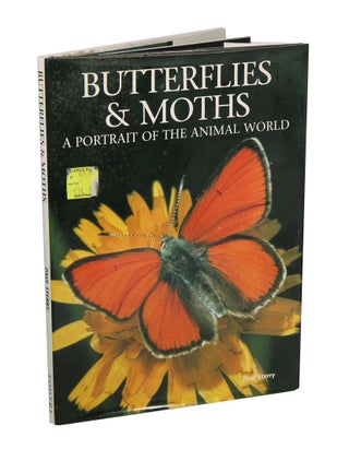Stock ID 42081 Butterflies and moths: a portrait of the animal world. Paul Sterry