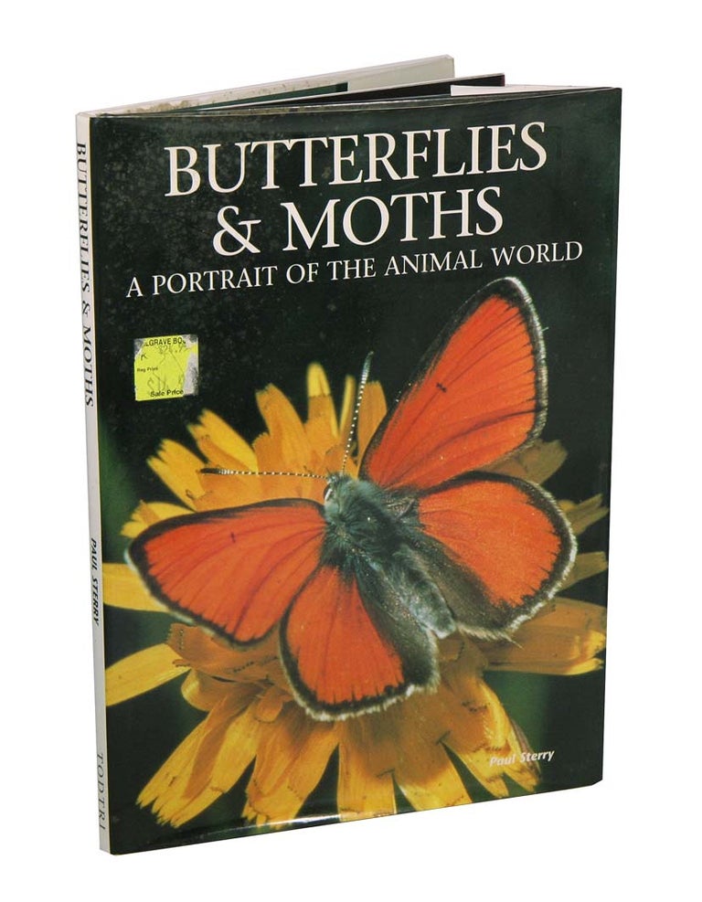 Stock ID 42081 Butterflies and moths: a portrait of the animal world. Paul Sterry.