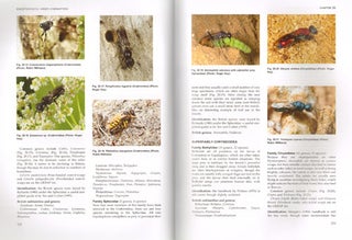 Royal Entomological Society book of British insects.