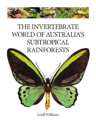 Stock ID 42115 The invertebrate world of Australia's subtropical rainforests. Geoff Williams