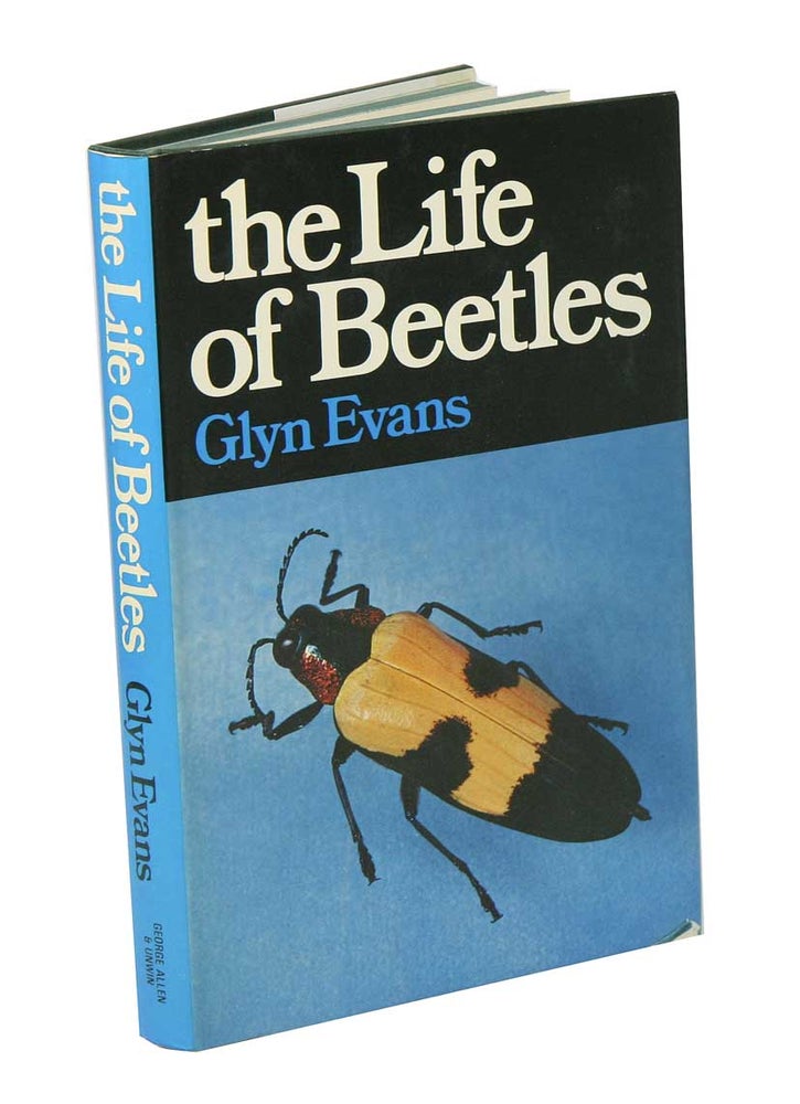 Stock ID 42157 The life of beetles. Glyn Evans.
