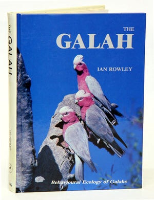 Stock ID 42170 Behavioural ecology of the Galah Eolophus roseicapillus in the wheatbelt of Western Australia. Ian Rowley.