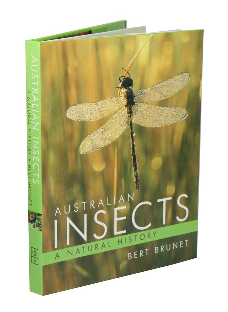 Stock ID 42212 Australian insects: a natural history. Bert Brunet.