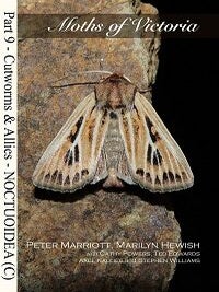 Stock ID 42224 Moths of Victoria: part nine cutworms and allies Noctuoidea (C). Marriott