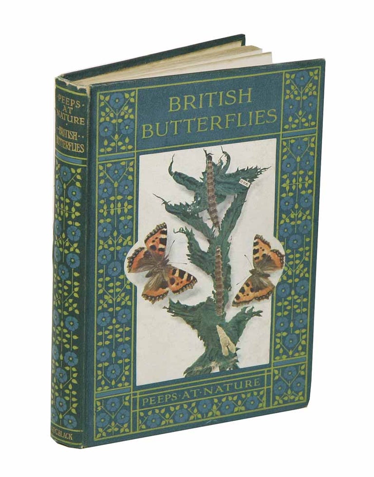 Stock ID 42259 British butterflies. A. M. Stewart.