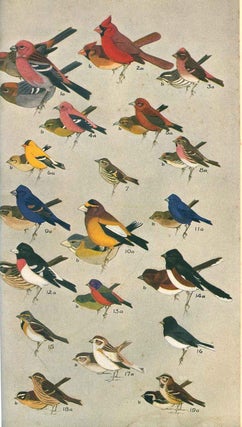 A field guide to the birds: giving field marks of all species found in eastern North America.