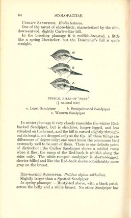 A field guide to the birds: giving field marks of all species found in eastern North America.