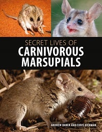 Stock ID 42311 Secret lives of carnivorous marsupials. Andrew Baker, Chris Dickman