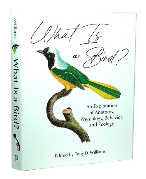 Stock ID 42314 What is a bird: an exploration of anatomy, physiology, behavior, and ecology. Tony D. Williams.