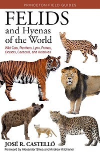 Stock ID 42349 Felids and hyenas of the world: wild cats, panthers, lynx, pumas, ocelots,...