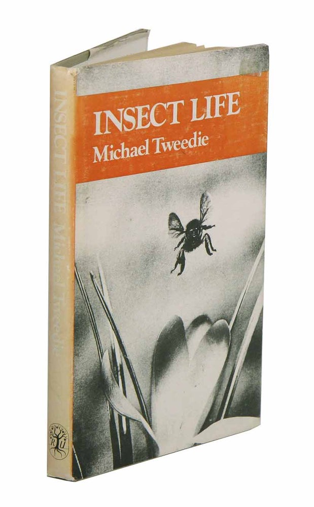 Stock ID 42356 Insect life. Michael Tweedie.
