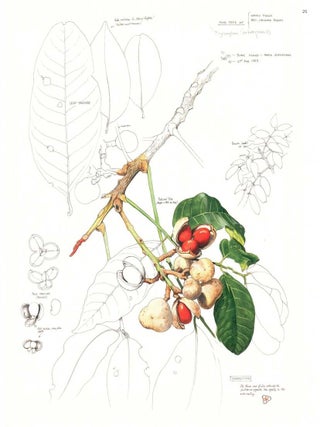 The botanical art of William T. Cooper.