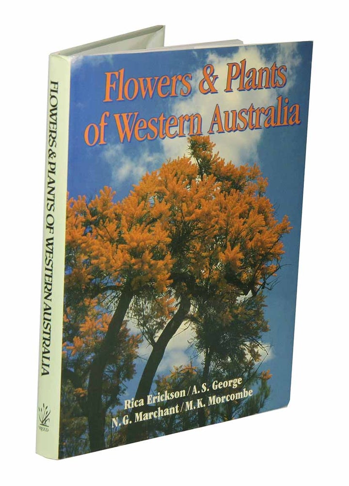 Stock ID 42562 Flowers and plants of Western Australia. Rica Erickson.