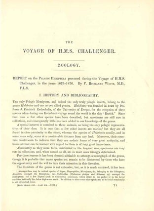 Report on the pelagic hemiptera procured during the Voyage of H.M.S. Challenger, in the years 1873-1876 [drop title].