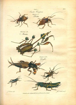 Les genres des insectes de linne; constates par divers enchantillons d'insectes d'angeleterre, copies d'apres nature.