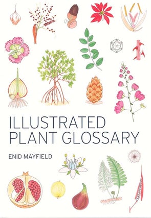 Stock ID 42802 Illustrated plant glossary. Enid Mayfield