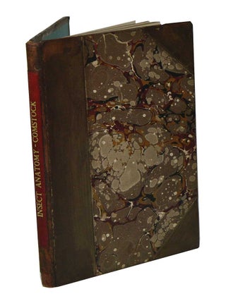 Stock ID 42837 The elements of insect anatomy. John Henry Comstock, Vernon L. Kellogg