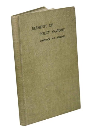 Stock ID 42839 Tthe elements of insect anatomy. John Henry Comstock, Vernon L. Kellogg