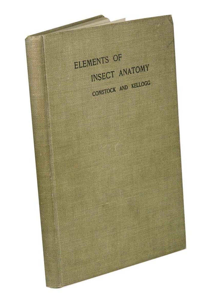 Stock ID 42839 Tthe elements of insect anatomy. John Henry Comstock, Vernon L. Kellogg.