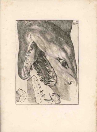De corporibus marinis, quae defossa reperiuntur.