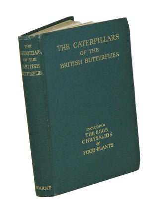 Stock ID 43035 The caterpillars of British butterflies, including the eggs, chrysalids and...