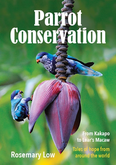 Stock ID 43073 Parrot conservation from Kakapo to Lear's macaw: tales of hope from around the world. Rosemary Low.