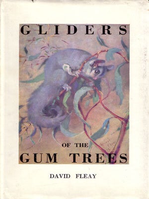 Gliders of the gum trees: the most beautiful and enchanting Australian marsupials