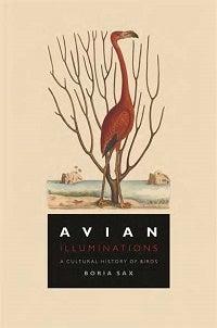 Stock ID 43168 Avian illuminations: a cultural history of birds. Boria Sax