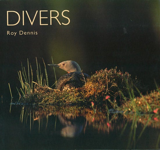 Stock ID 43184 Divers. Roy Dennis.