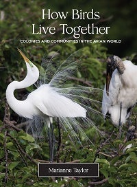 Stock ID 43261 How birds live together: colonies and communities in the avian world. Marianne Taylor