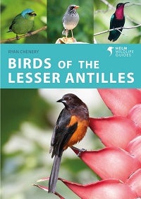 Stock ID 43310 Birds of the Lesser Antilles. Ryan Chenery