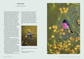 Feather and brush: a history of Australian bird art.